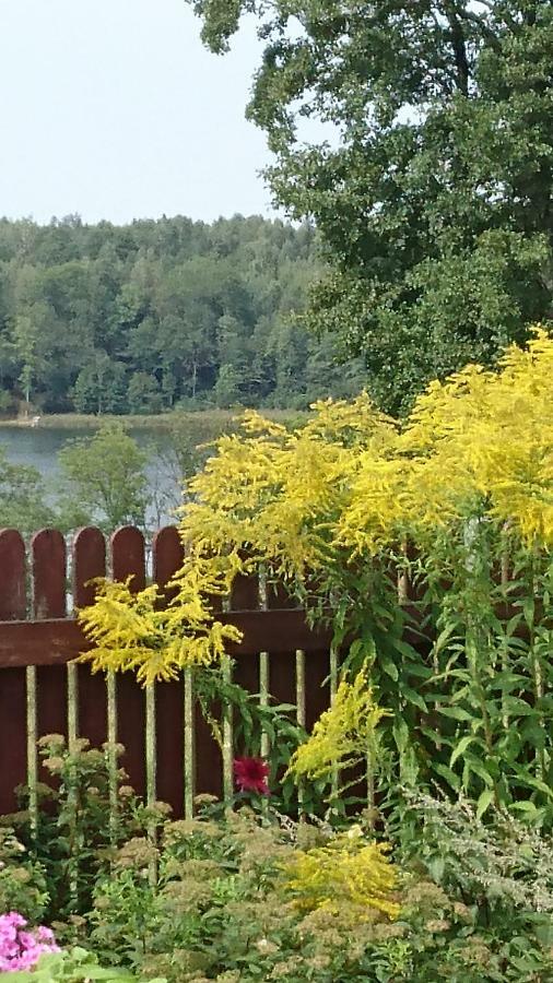 Domek Nad Jeziorem Villa Suwałki Eksteriør billede